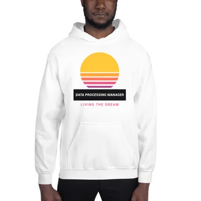 Data Processing Manager Retro Sunset hoodie preview
