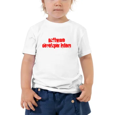 Software Developer Intern Cali Style kids tee preview