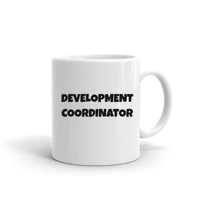 Development Coordinator Fun Style mug preview