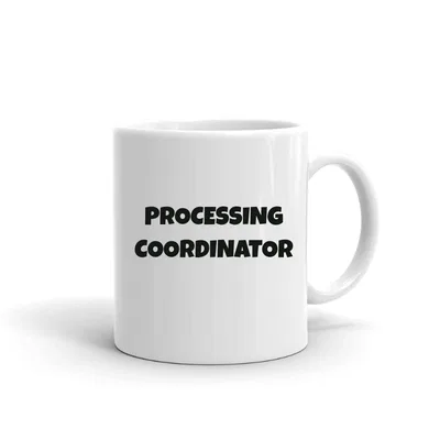 Processing Coordinator Fun Style mug preview