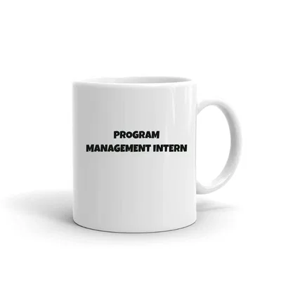 Program Management Intern Fun Style mug preview