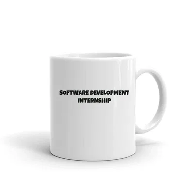 Software Development Internship Fun Style mug preview
