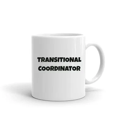 Transitional Coordinator Fun Style mug preview